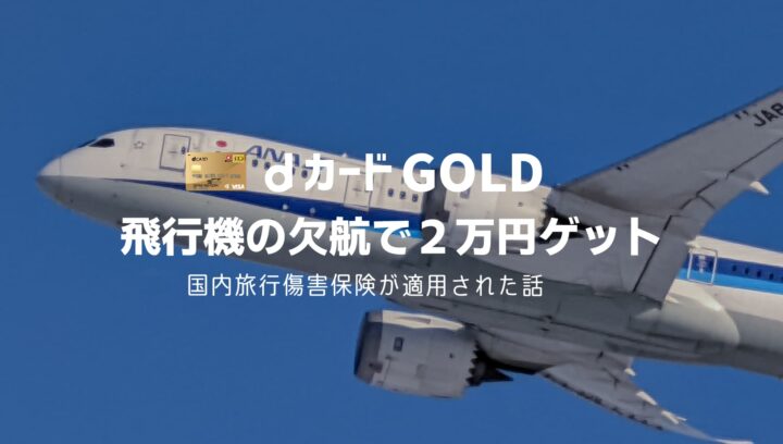 dカードGOLD 飛行機の遅延・欠航で保険金を請求した体験談【国内旅行損害保険】