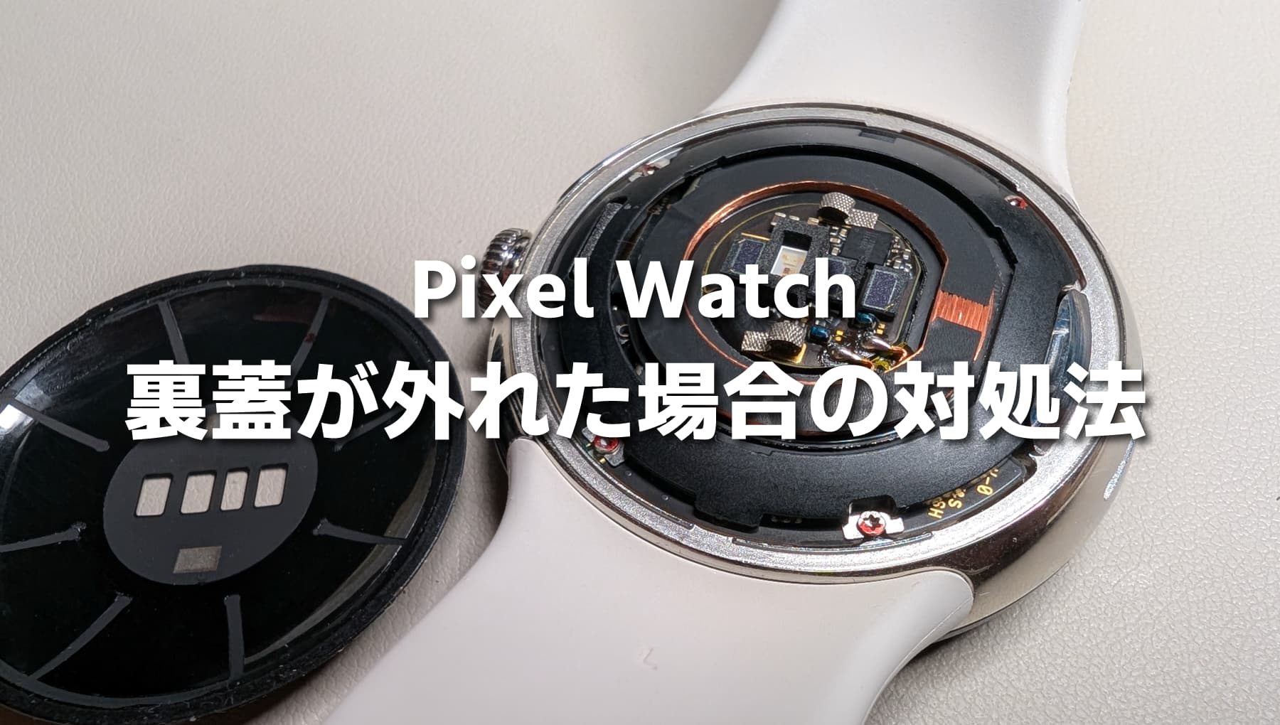 Pixel Watch の裏蓋が取れた！無償交換までの手続き方法