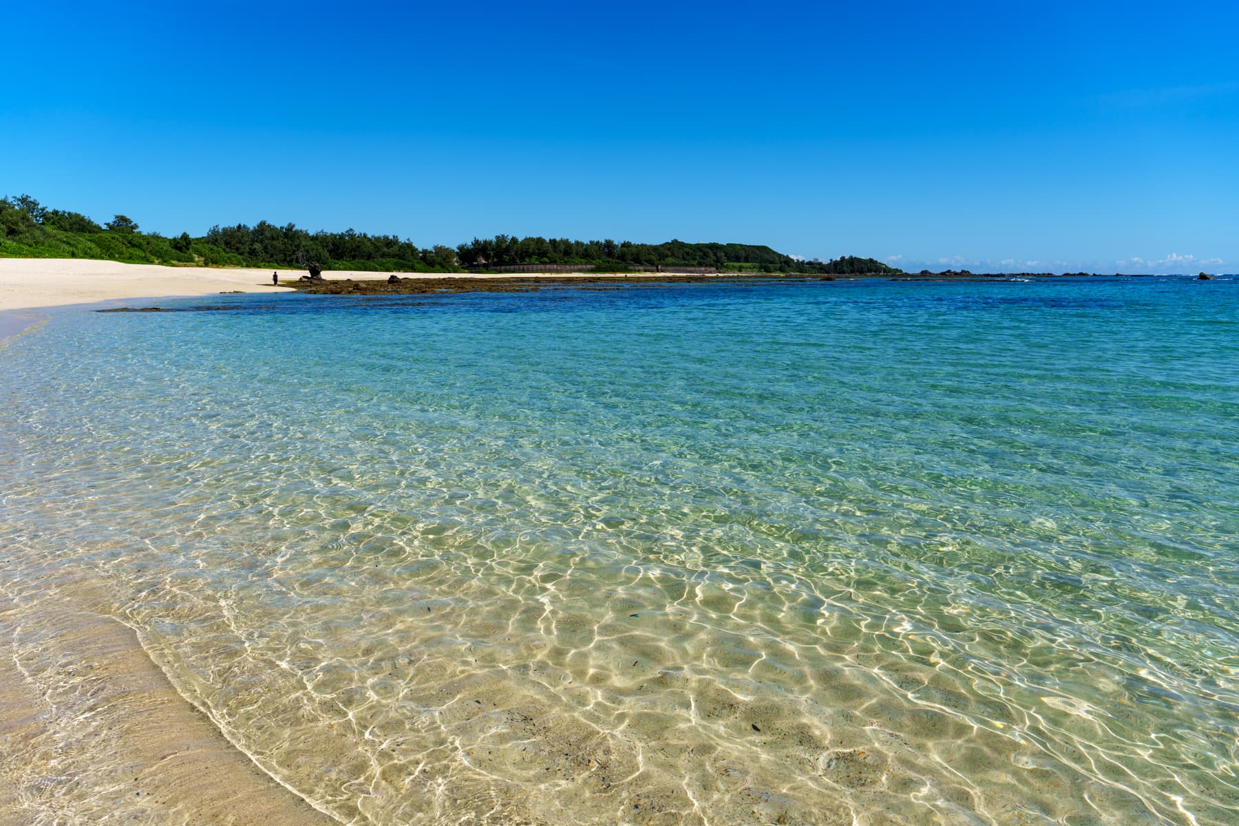 奄美大島の青い海